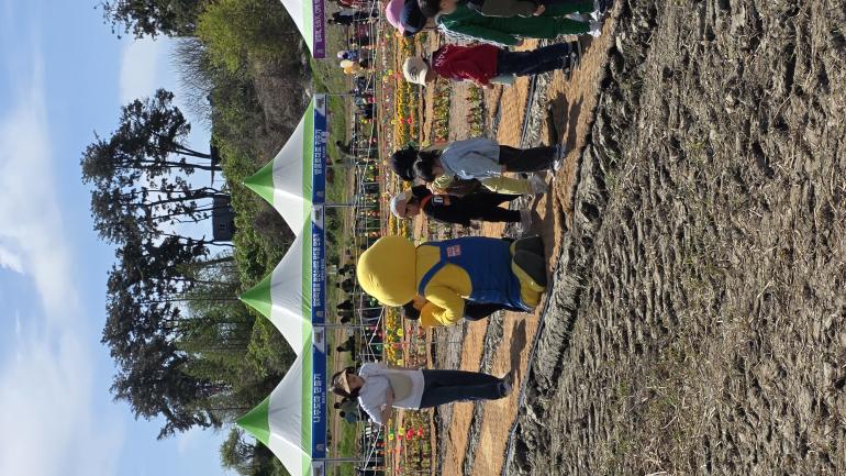 2026 제21회 군산 꽁당보리축제 '밝음이' 홍보 활동